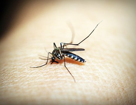 Suzbijanje odraslih formi komaraca na teritoriji grada Beograda, dan petak 18.05.2018.godine