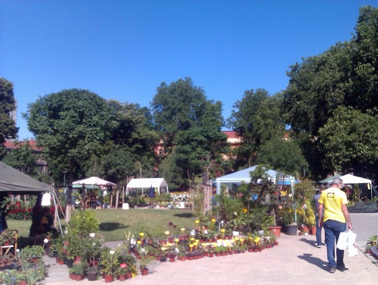 Beogradsko proleće II : Do nedelje izložba cveća u parku Manjež