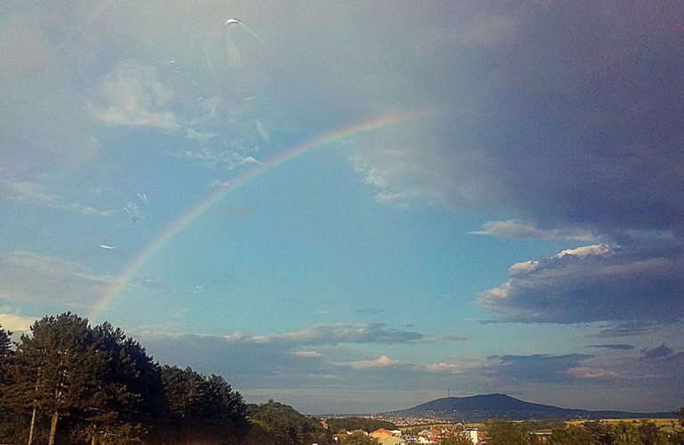 Dobro jutro Beograde! Ili si vozač života ili te život vozi