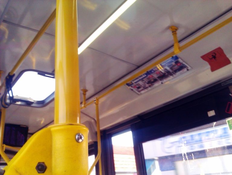 U gradskom autobusu ( Video)