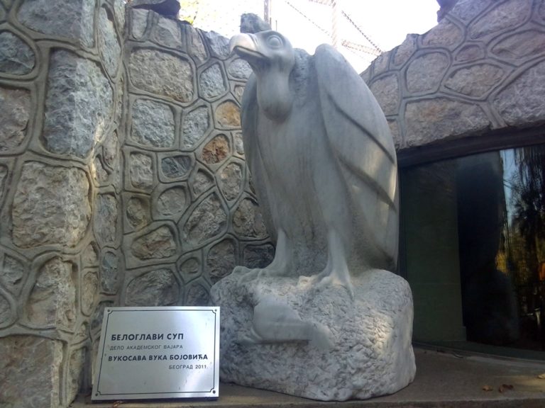 Skulptura „Beloglavi sup“ – Vuk Bojović