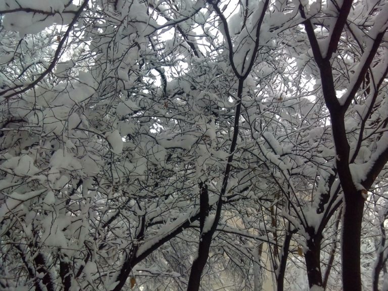 Prvi sneg u Požegi, Kraljevu, Kuršumliji…