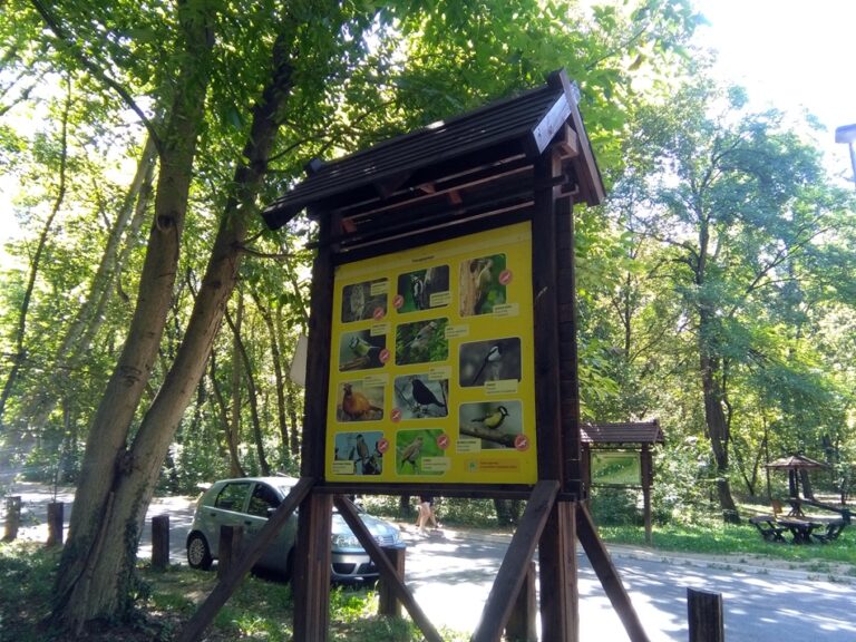 Bajfordova šuma u Beogradu ( Banjička šuma )
