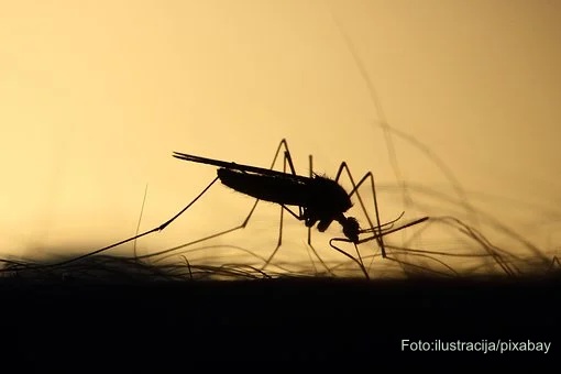 Suzbijanje komaraca 11.08.